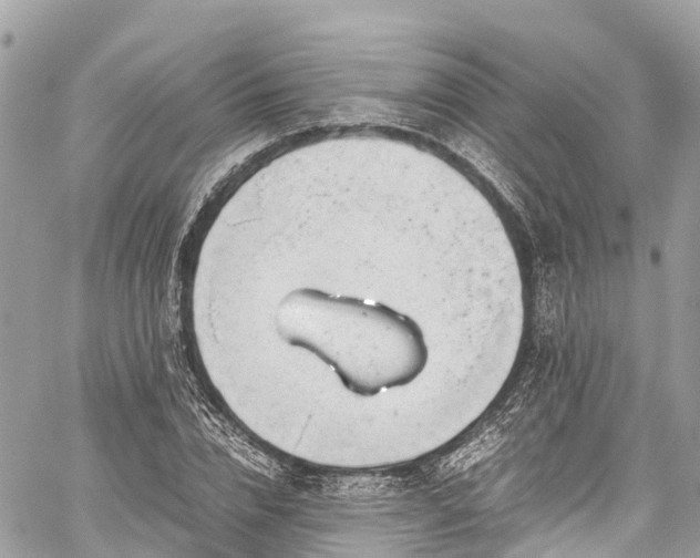 X0000059830832200510241419