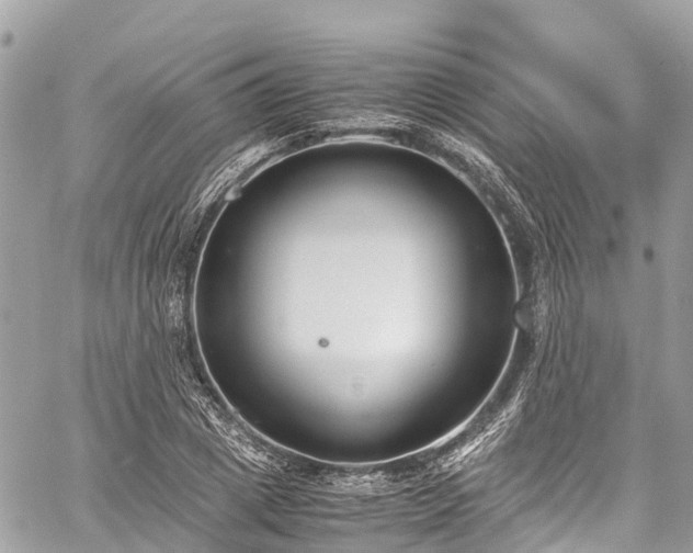 X0000059830833200510241419