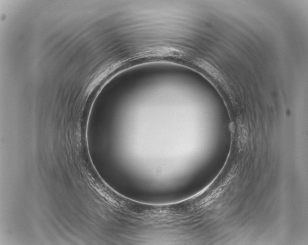 X0000059830834200510241419