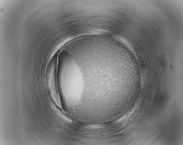 X0000059830835200510241419