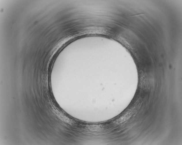 X0000059830836200510241419