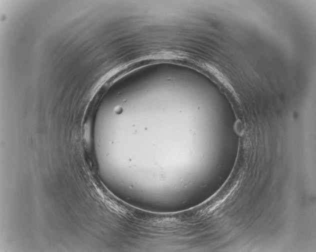 X0000059830837200510241419