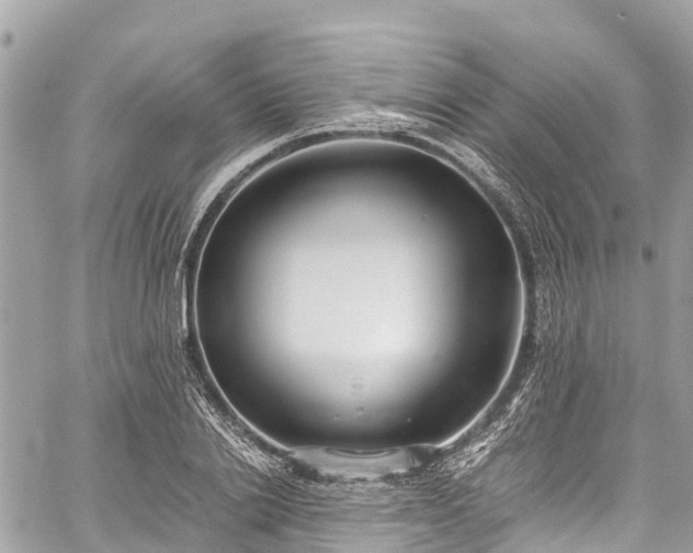 X0000059830838200510241419