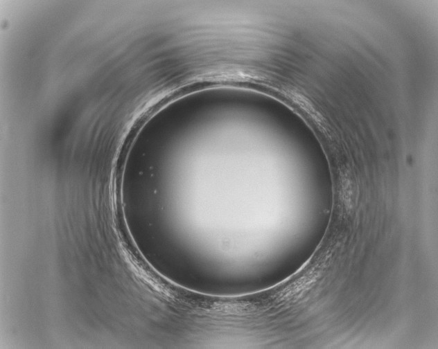 X0000059830840200510241419