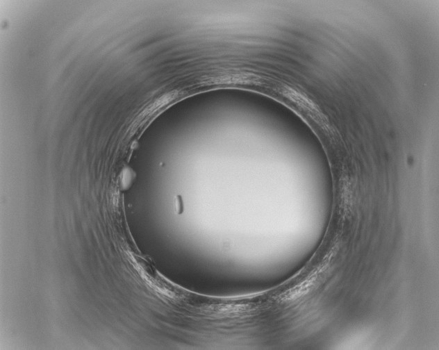 X0000059830841200510241419