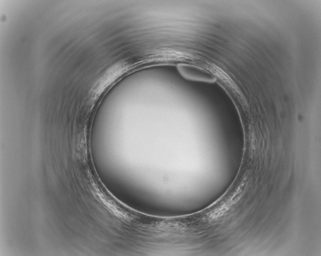 X0000059830842200510241419