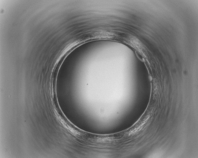 X0000059830843200510241419