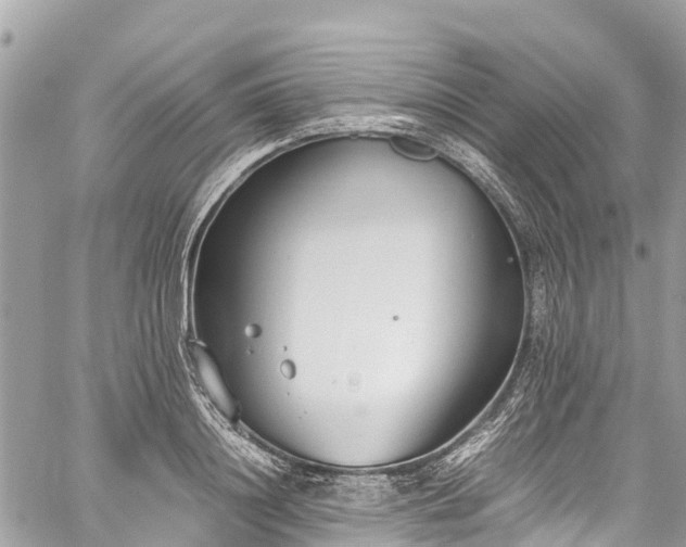 X0000059830844200510241419