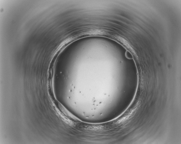 X0000059830845200510241419