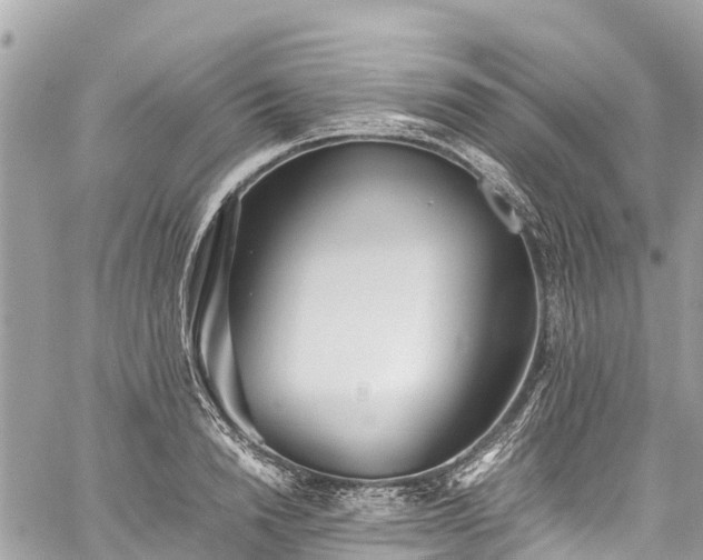 X0000059830846200510241419