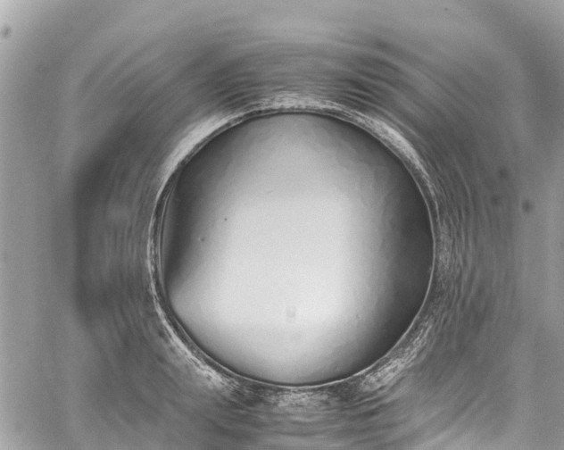 X0000059830847200510241419