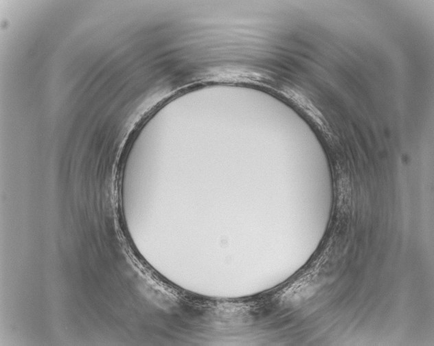 X0000059830848200510241419