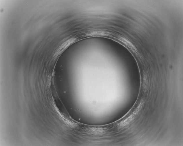 X0000059830849200510241419