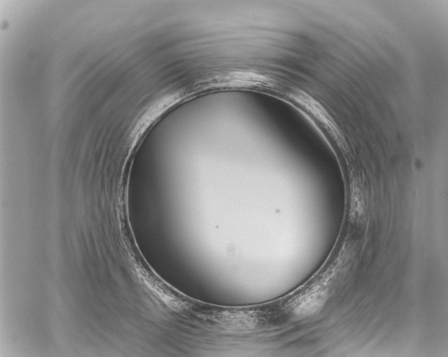 X0000059830850200510241419