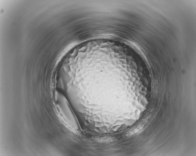 X0000059830851200510241419