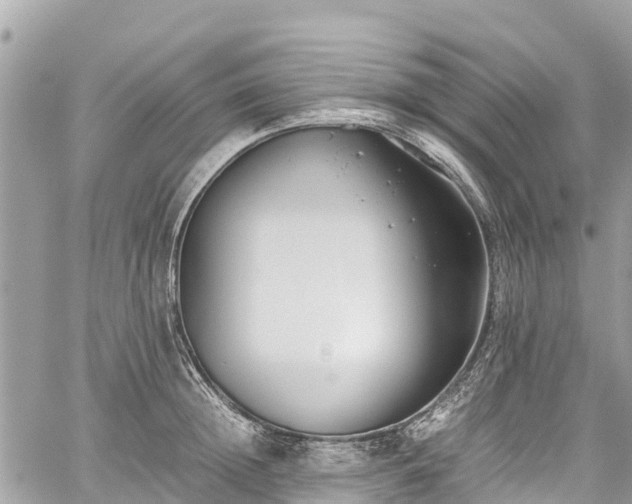 X0000059830852200510241419