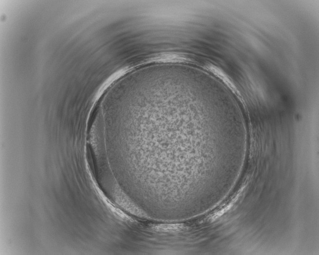 X0000059830853200510241419