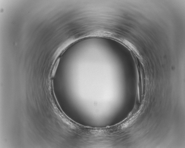 X0000059830854200510241419