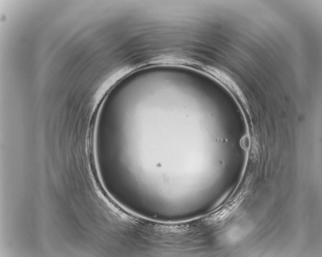 X0000059830855200510241419