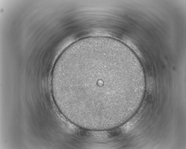 X0000059830856200510241419