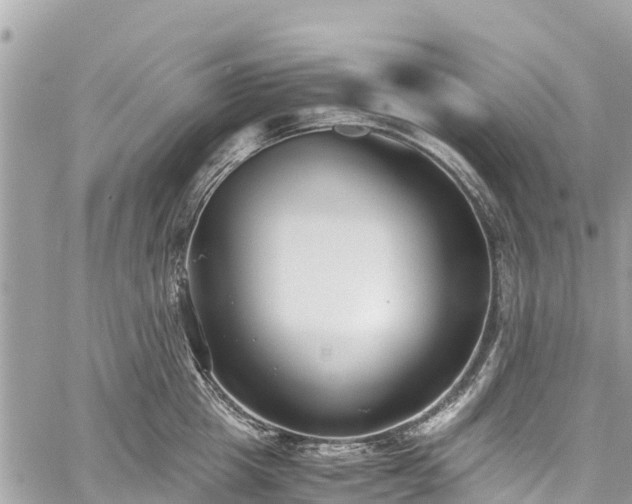 X0000059830857200510241419