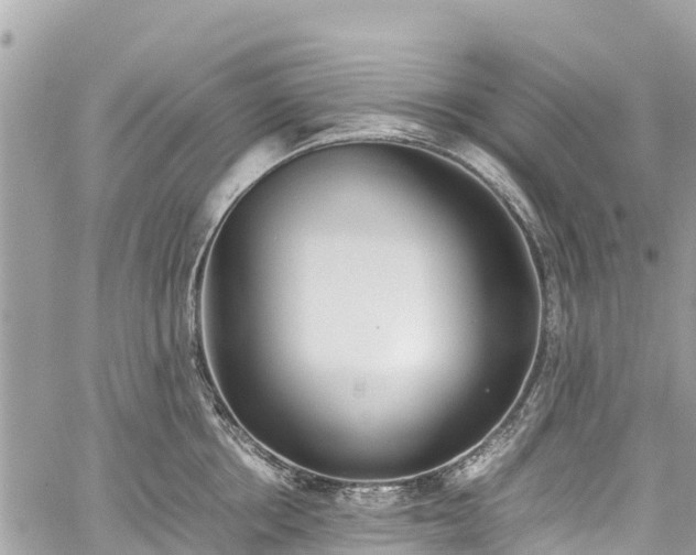 X0000059830858200510241419