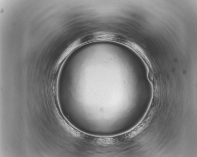 X0000059830859200510241419