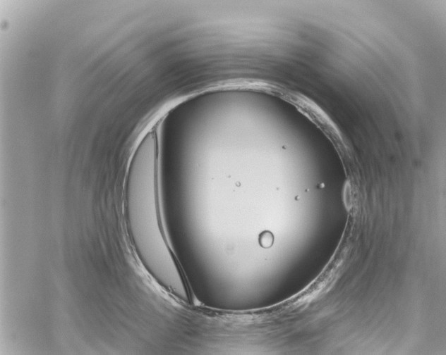 X0000059830860200510241419