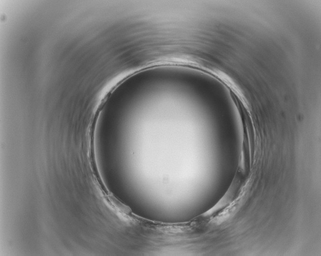 X0000059830862200510241419