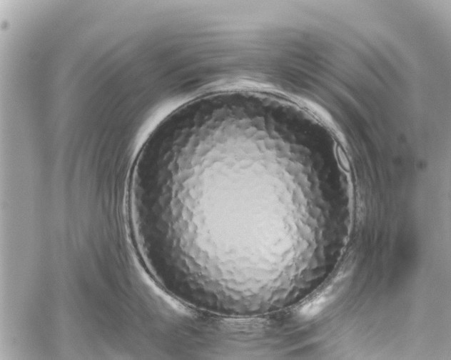 X0000059830863200510241419