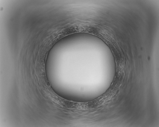 X0000059830865200510241418