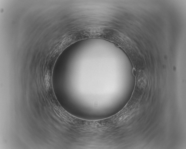 X0000059830866200510241418