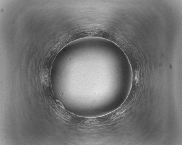 X0000059830867200510241418