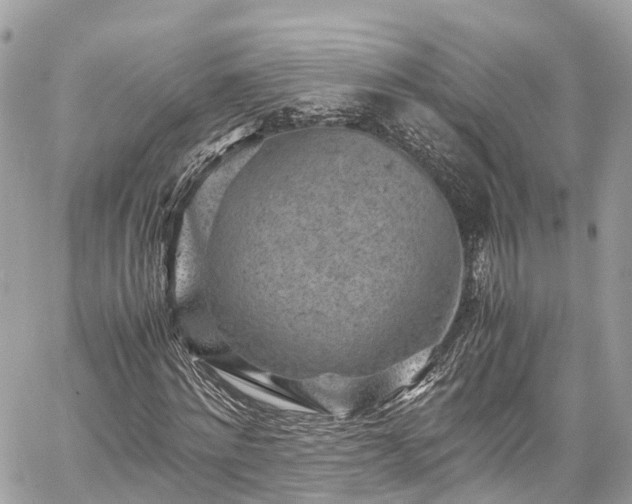 X0000059830868200510241418