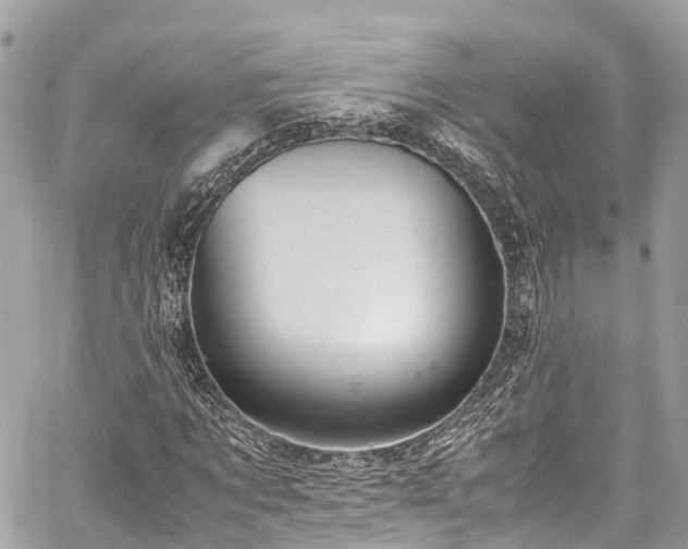 X0000059830869200510241418