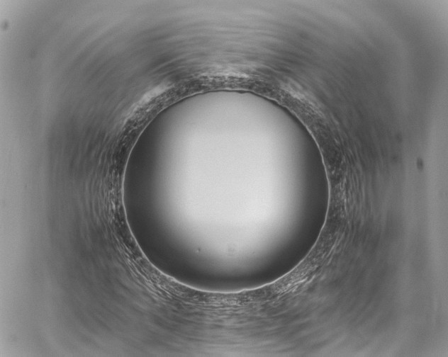 X0000059830870200510241418