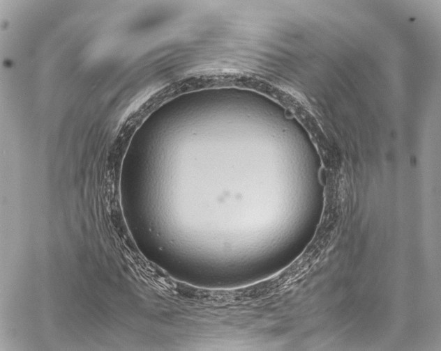 X0000059830871200510241418