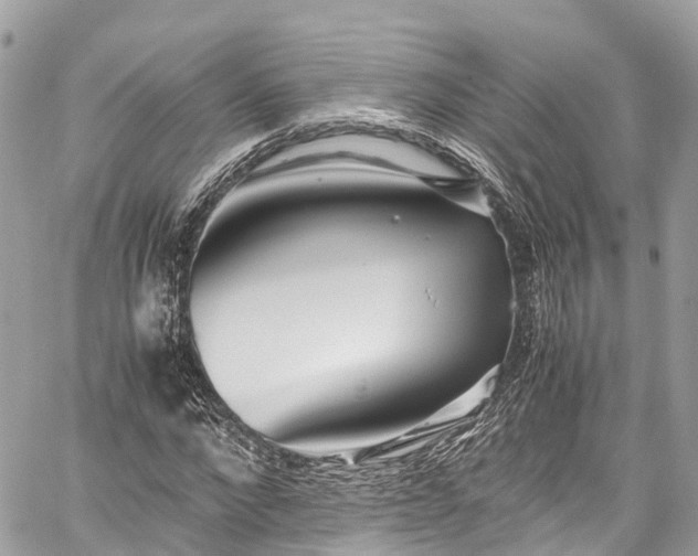 X0000059830872200510241418