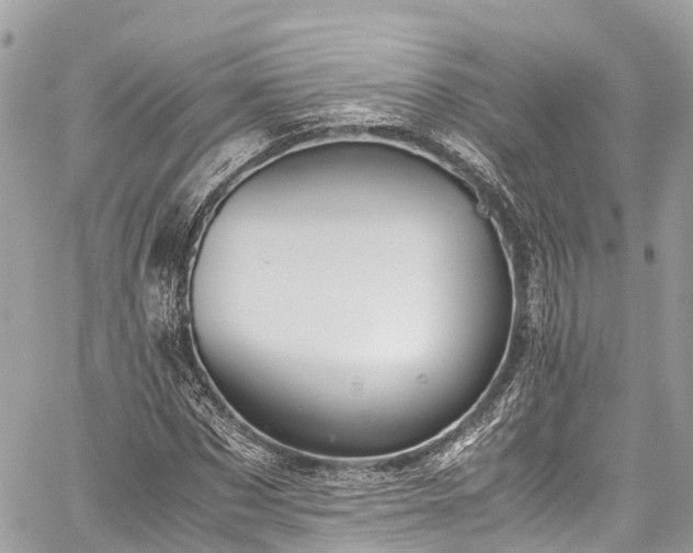 X0000059830873200510241418