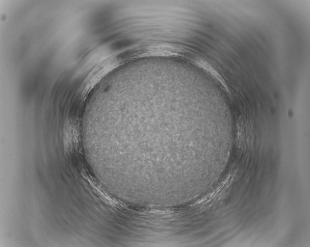 X0000059830874200510241418