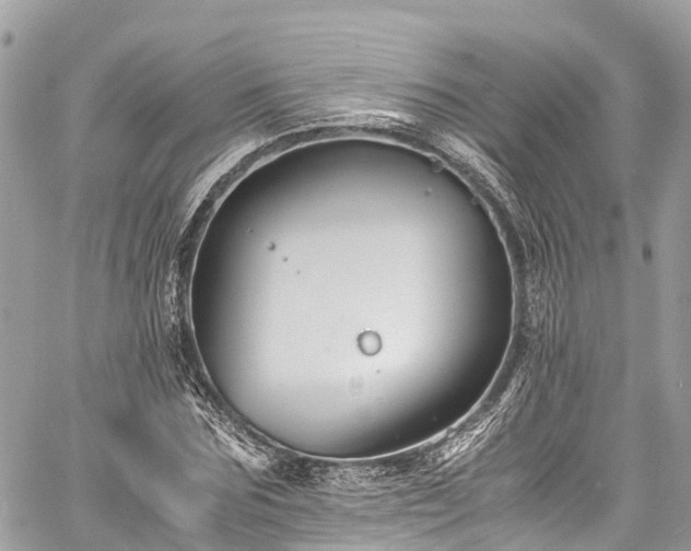 X0000059830875200510241418