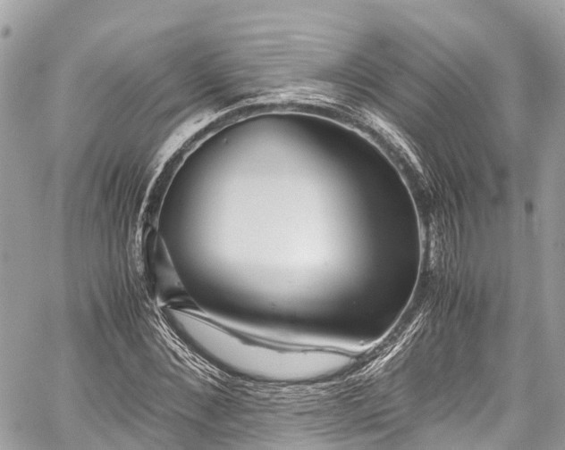 X0000059830876200510241418