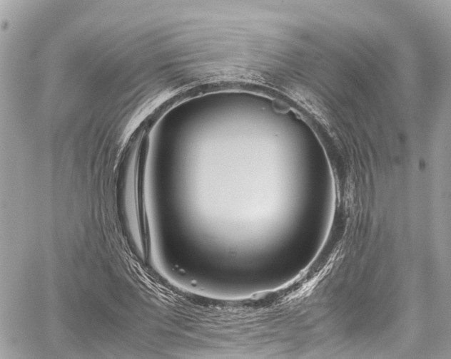 X0000059830877200510241418