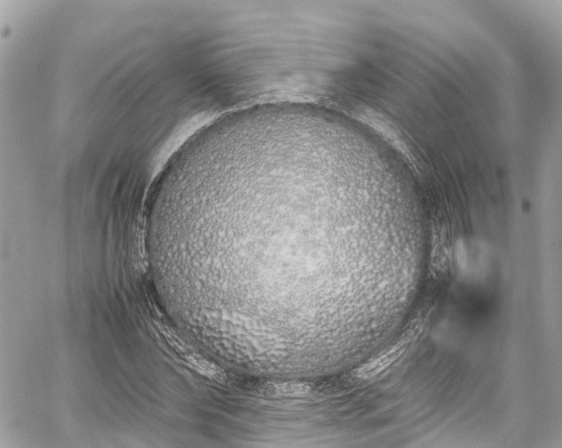 X0000059830878200510241418