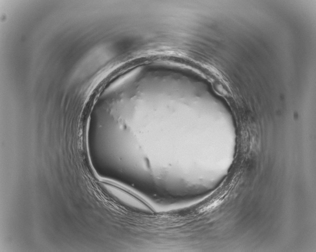 X0000059830879200510241418