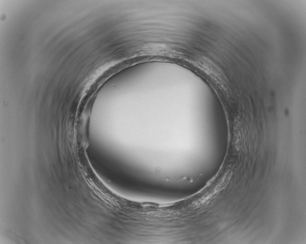 X0000059830880200510241418