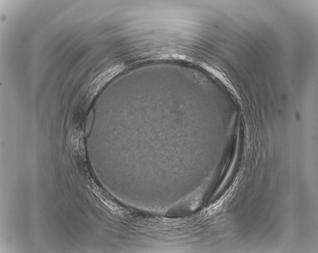 X0000059830881200510241418