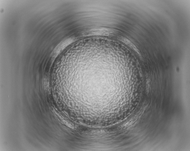 X0000059830882200510241418