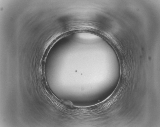 X0000059830883200510241418