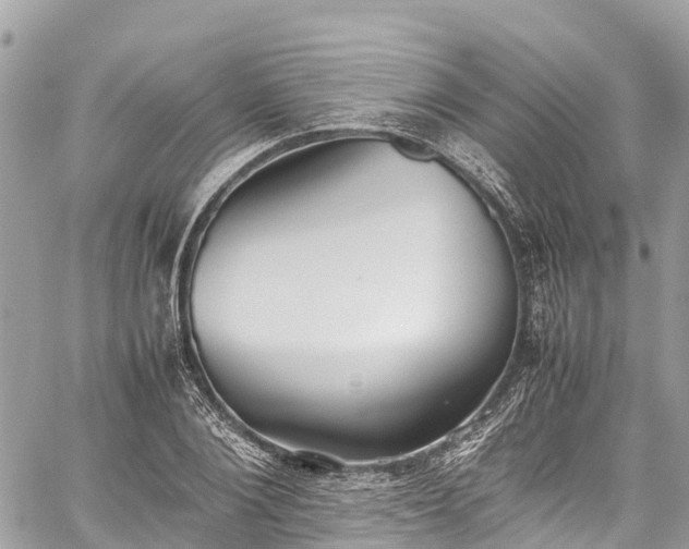 X0000059830884200510241418